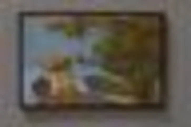 Imagem ilustrativa da imagem Exposição na Casa França Brasil valoriza as paisagens fluminenses