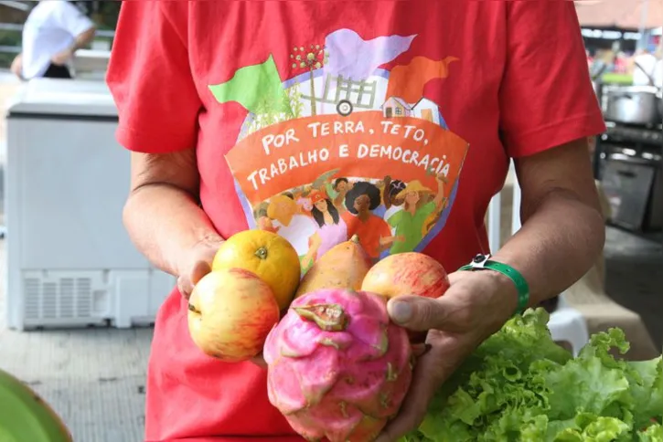 Imagem ilustrativa da imagem Produção sustentável de alimentos depende da reforma agrária, diz MST
