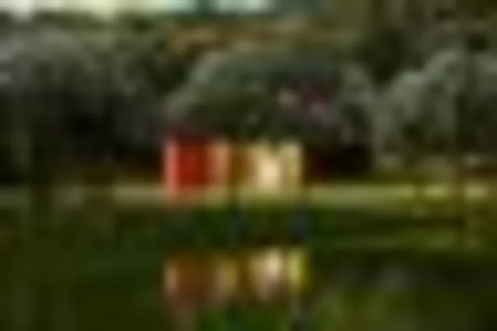 Imagem ilustrativa da imagem Mostra em Inhotim revela caminhos de Abdias Nascimento no exílio