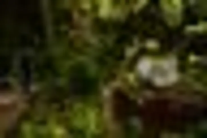 Imagem ilustrativa da imagem Mostra em Inhotim revela caminhos de Abdias Nascimento no exílio