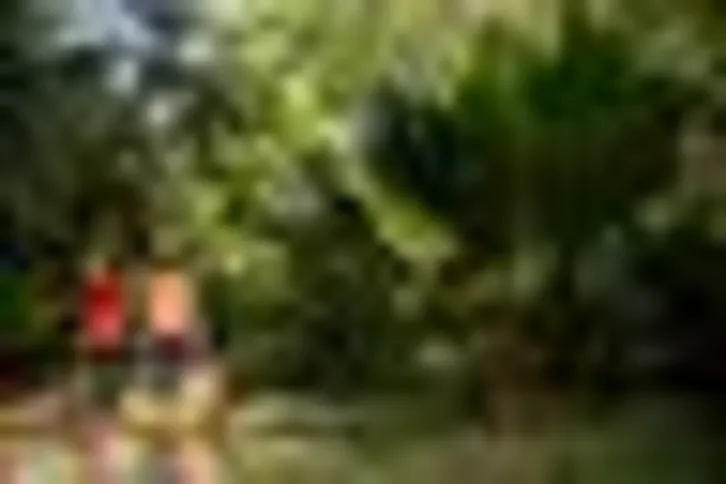 Imagem ilustrativa da imagem Mostra em Inhotim revela caminhos de Abdias Nascimento no exílio