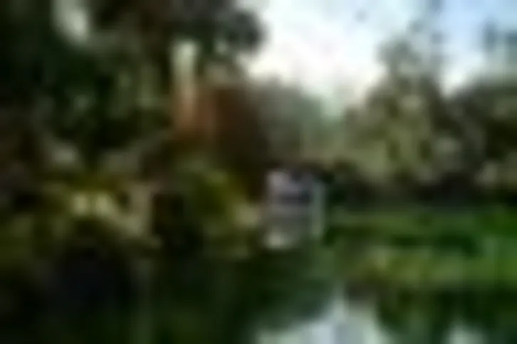 Imagem ilustrativa da imagem Mostra em Inhotim revela caminhos de Abdias Nascimento no exílio