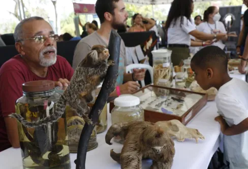 Imagem descritiva da notícia Festival Museu Nacional Vive leva público à Quinta da Boa Vista