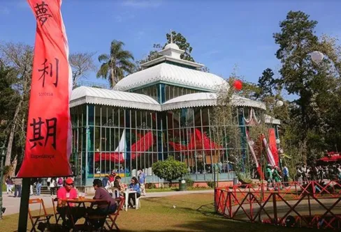 Imagem descritiva da notícia Petrópolis reaviva ligação secular com imigração japonesa