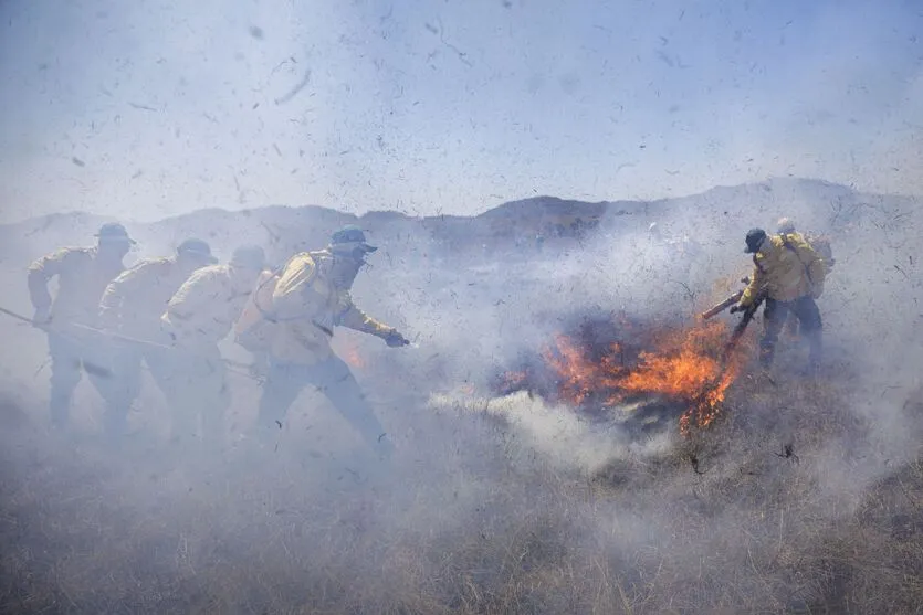 Imagem descritiva da notícia Uso consciente do fogo reduz incêndios na Chapada dos Veadeiros (GO)