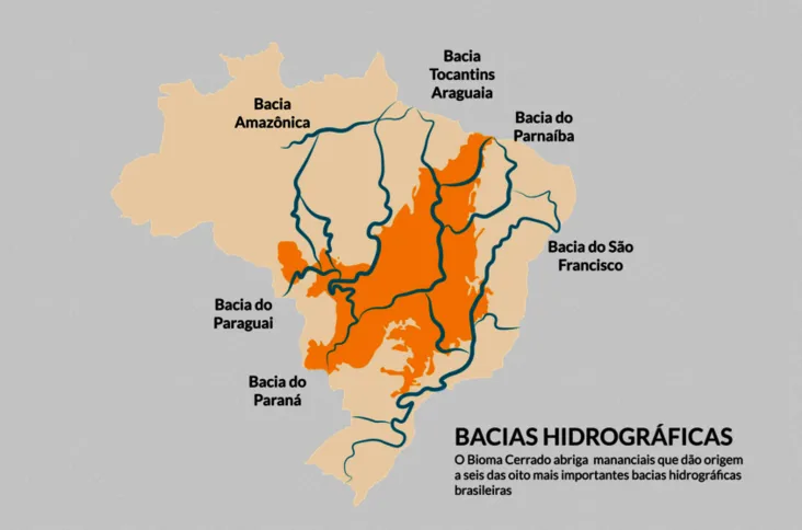 Imagem ilustrativa da imagem Desmatamento do Cerrado ameaça segurança hídrica de todo o Brasil