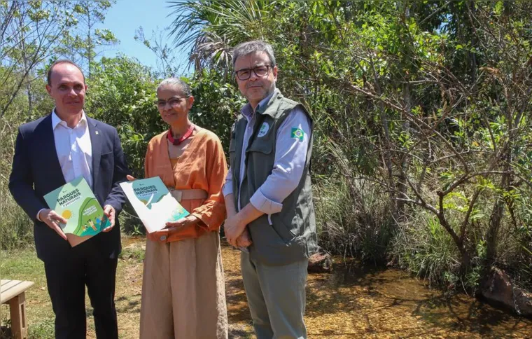 Imagem ilustrativa da imagem MMA quer evitar licença ambiental de longo prazo no Cerrado