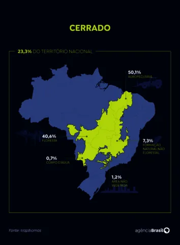 Imagem ilustrativa da imagem Olhar voltado para a Amazônia ameaça sobrevivência do Cerrado