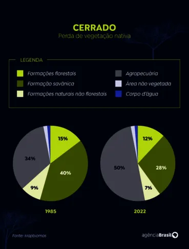 Imagem ilustrativa da imagem Olhar voltado para a Amazônia ameaça sobrevivência do Cerrado