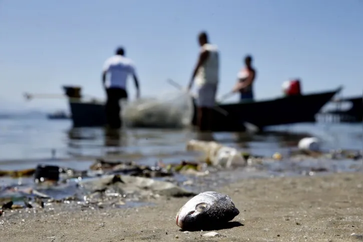 Imagem ilustrativa da imagem Programa Guanabara Azul renova promessas sobre o futuro da baía