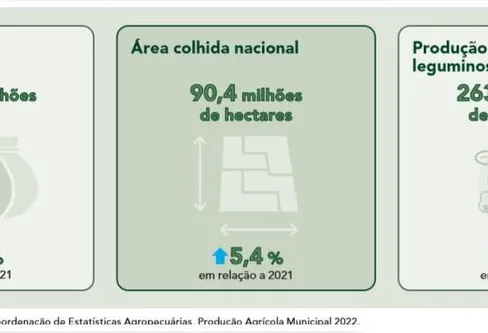 Imagem descritiva da notícia IBGE: apesar de estiagem, Brasil teve safra recorde no ano passado