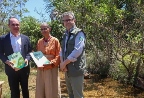 Imagem descritiva da notícia MMA quer evitar licença ambiental de longo prazo no Cerrado