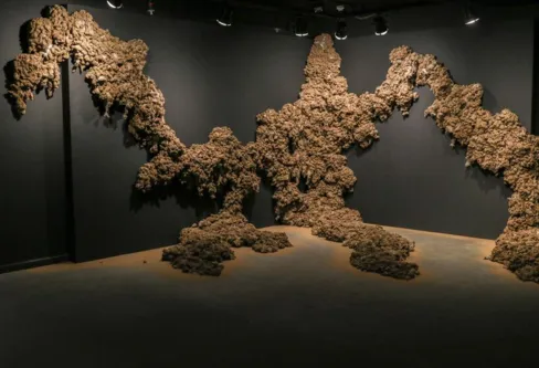 Imagem descritiva da notícia Mostra cultural mais ampla do mundo chega ao Brasil pela primeira vez