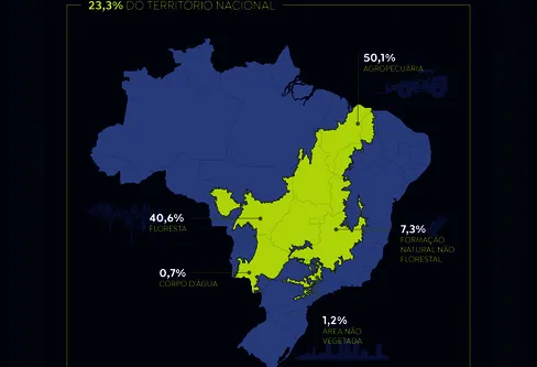 Imagem descritiva da notícia Olhar voltado para a Amazônia ameaça sobrevivência do Cerrado