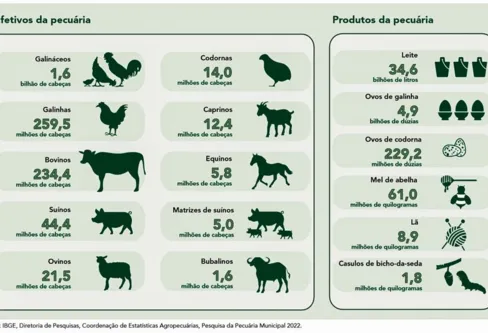 Imagem descritiva da notícia Pecuária brasileira colecionou recordes em 2022