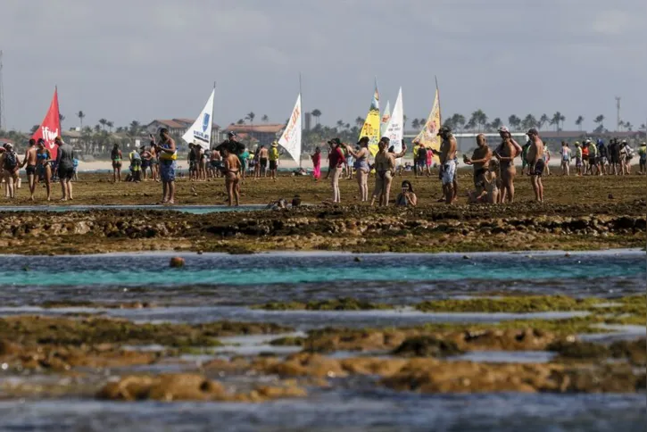 Imagem ilustrativa da imagem Projeto alia restauração de corais e turismo sustentável em Pernambuco