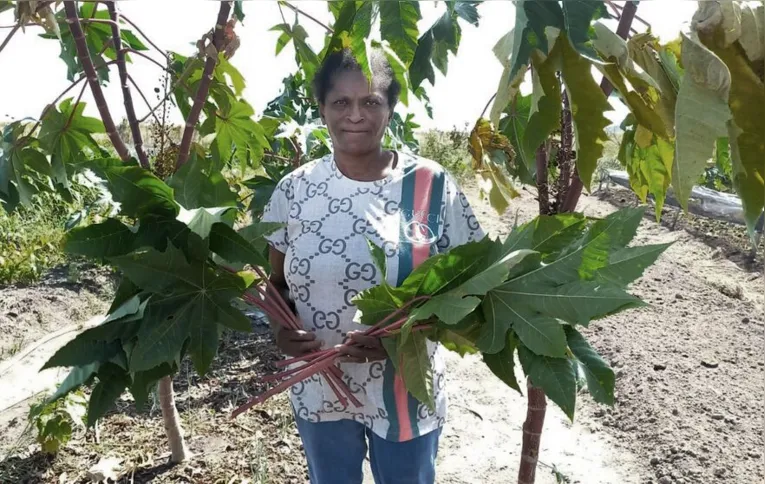 Imagem ilustrativa da imagem Governo retoma programa de fortalecimento da agroecologia