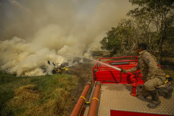 Imagem ilustrativa da imagem Incêndio no Pantanal tem cenário de animais em fuga e muita ventania