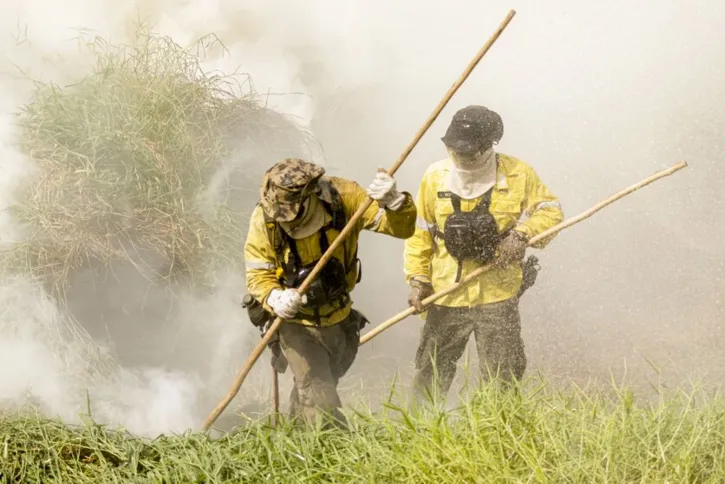 Imagem ilustrativa da imagem Pantanal tem mais de 3 mil incêndios em novembro; recorde histórico