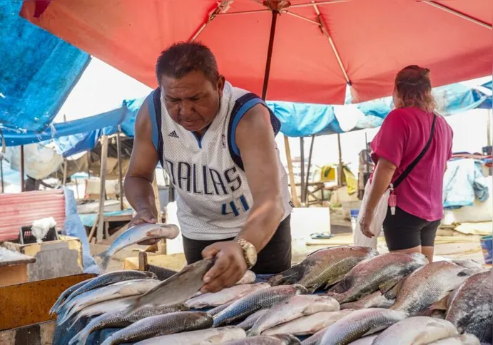 Imagem ilustrativa da imagem Rio Negro sobe lentamente e pescadores esperam retomar rotina