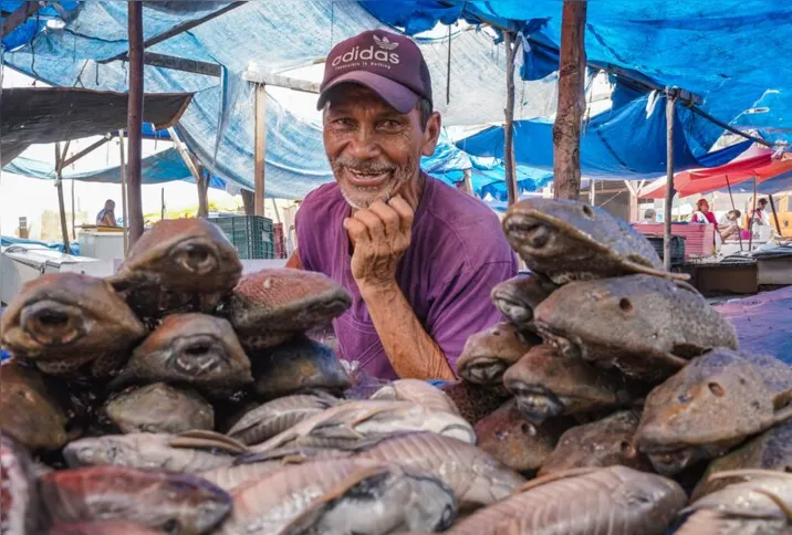 Imagem ilustrativa da imagem Rio Negro sobe lentamente e pescadores esperam retomar rotina