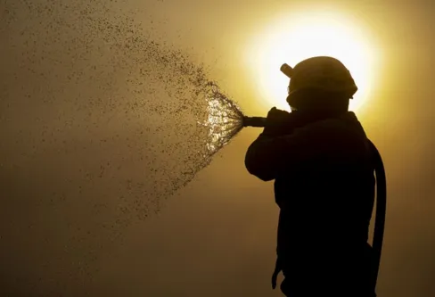 Imagem descritiva da notícia Incêndio no Pantanal tem cenário de animais em fuga e muita ventania
