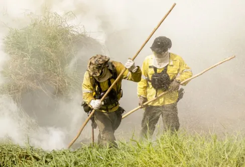 Imagem descritiva da notícia Pantanal tem mais de 3 mil incêndios em novembro; recorde histórico