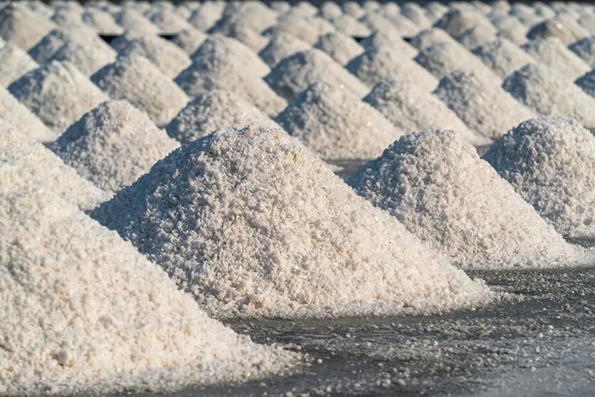 Imagem descritiva da notícia Operação apura crimes na exploração de sal-gema em Maceió