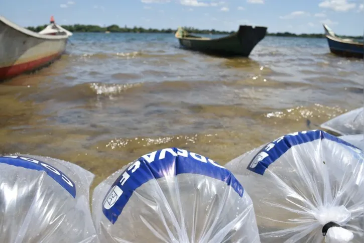 Imagem ilustrativa da imagem Mutirão solta 150 mil peixes em municípios do Sergipe no fim de semana
