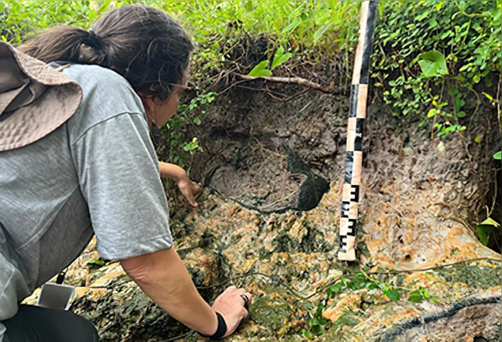 Imagem ilustrativa da imagem Quatro novos sítios arqueológicos são descobertos em Marajó, no Pará