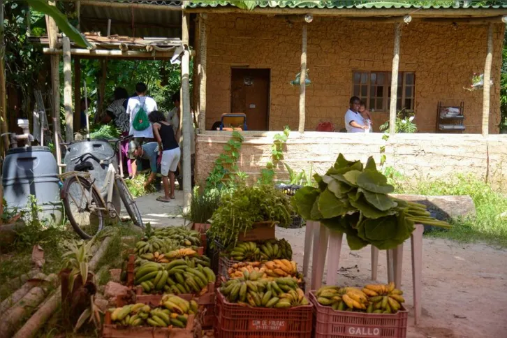 Imagem ilustrativa da imagem Quilombo no Rio integra o Programa de Aquisição de Alimentos