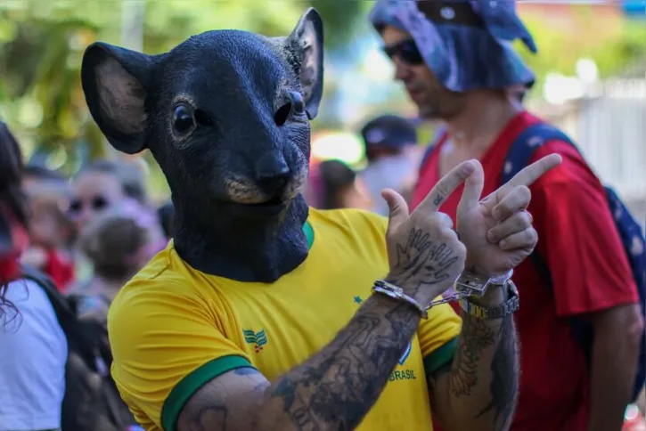 Imagem ilustrativa da imagem Brasilienses ocupam as ruas da capital no bloco Calango Careta