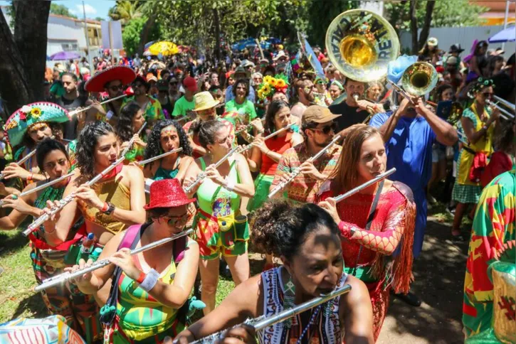 Imagem ilustrativa da imagem Brasilienses ocupam as ruas da capital no bloco Calango Careta