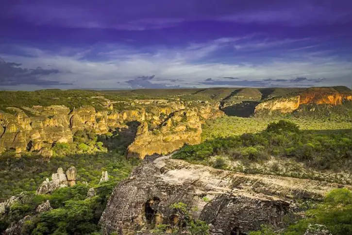 Imagem ilustrativa da imagem Passeio virtual permite conhecer Parque Nacional Serra da Capivara