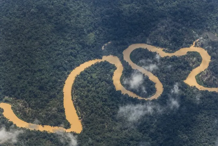 Imagem ilustrativa da imagem Salgueiro focará na essência yanomami e não na tragédia, diz enredista