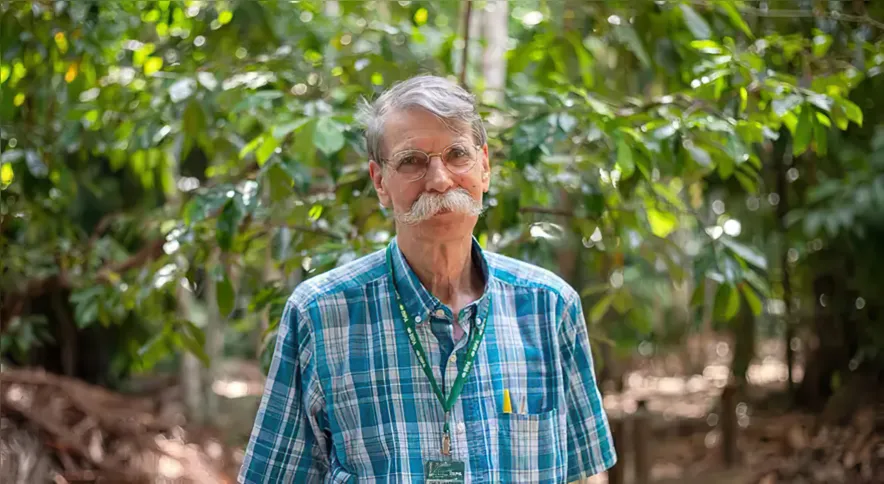 Imagem ilustrativa da imagem Entenda como o mau uso da floresta compromete a vida no planeta