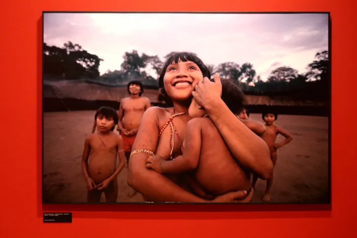 Imagem ilustrativa da imagem Exposição revela “filosofias de vida” na Amazônia, diz Ailton Krenak