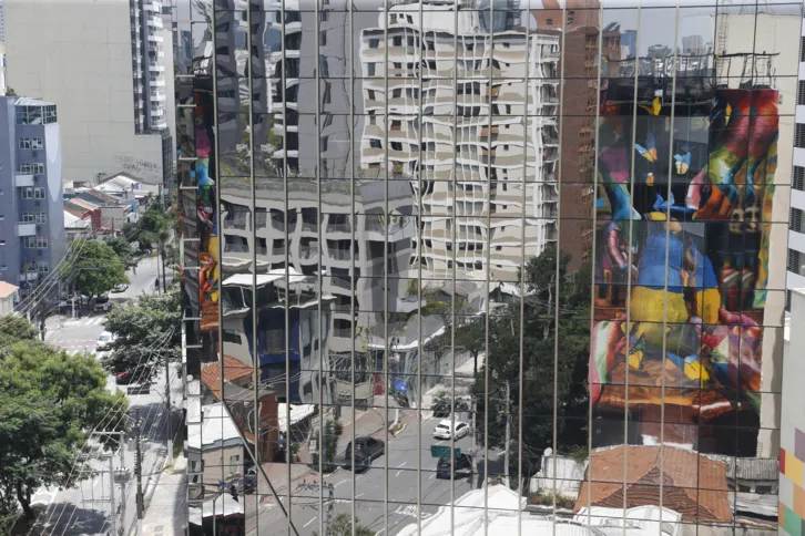 Imagem ilustrativa da imagem Guerra na Ucrânia e meio ambiente são temas de mural em São Paulo