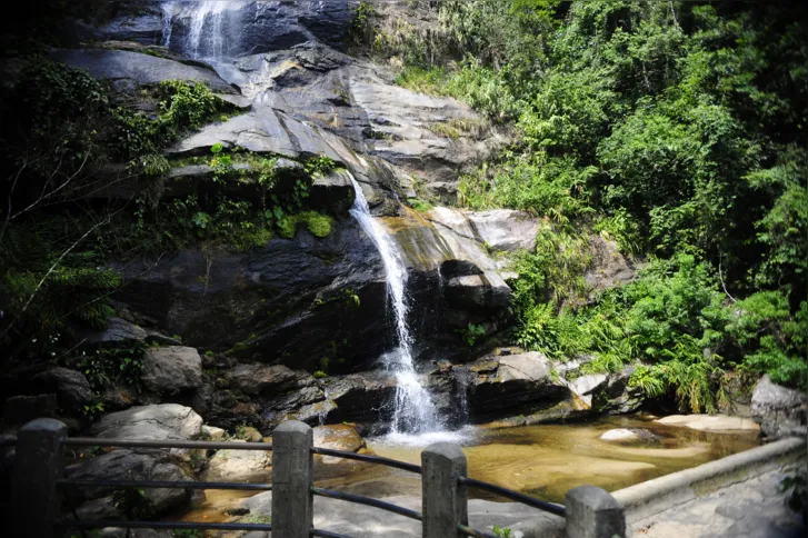 Imagem ilustrativa da imagem Parque Nacional da Tijuca registra recorde histórico de visitação