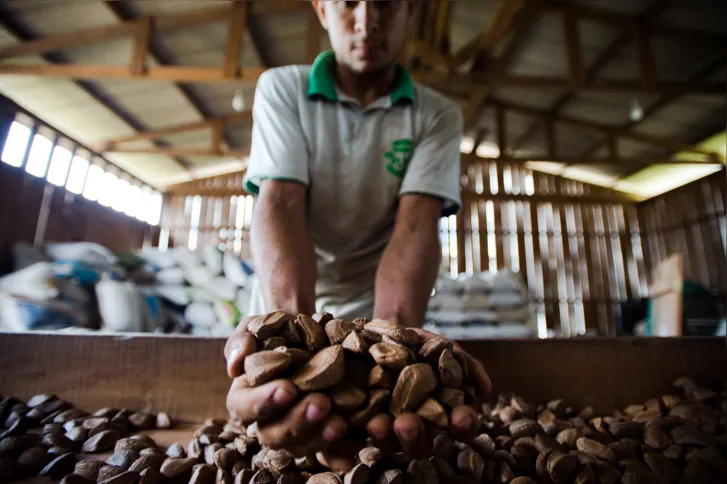 Imagem ilustrativa da imagem Saiba quais alimentos compõem nova cesta básica