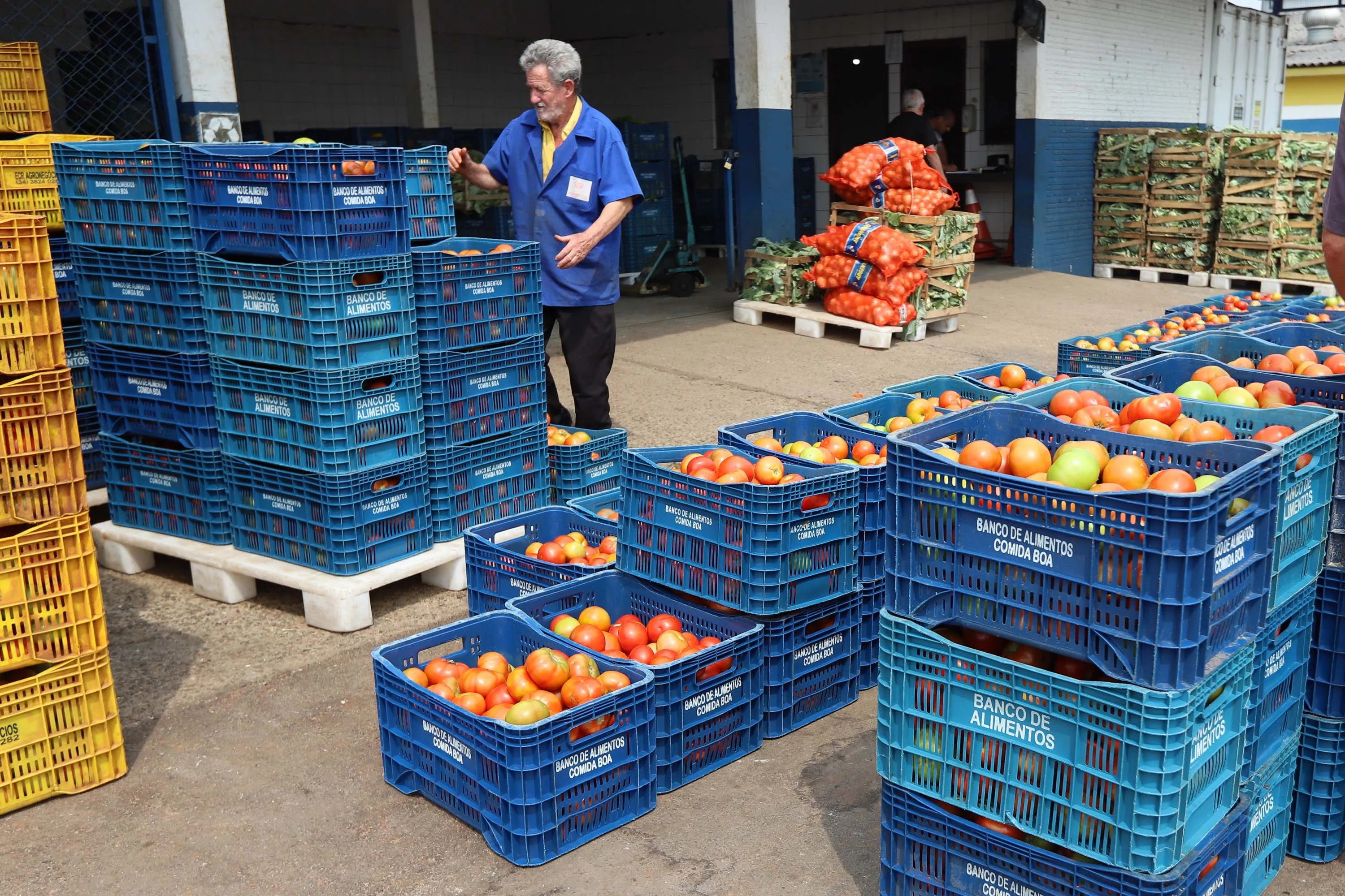 Programa Comida Boa - O Dia Internacional de Conscientização sobre Perdas e Desperdício de Alimentos é comemorado no dia 29 de setembro.