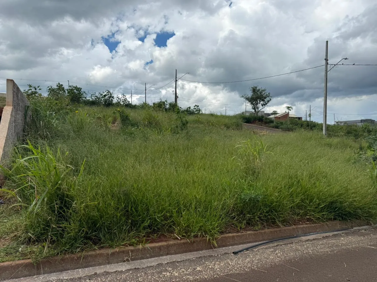 A medida tem como objetivo combater o acúmulo de mato e sujeira