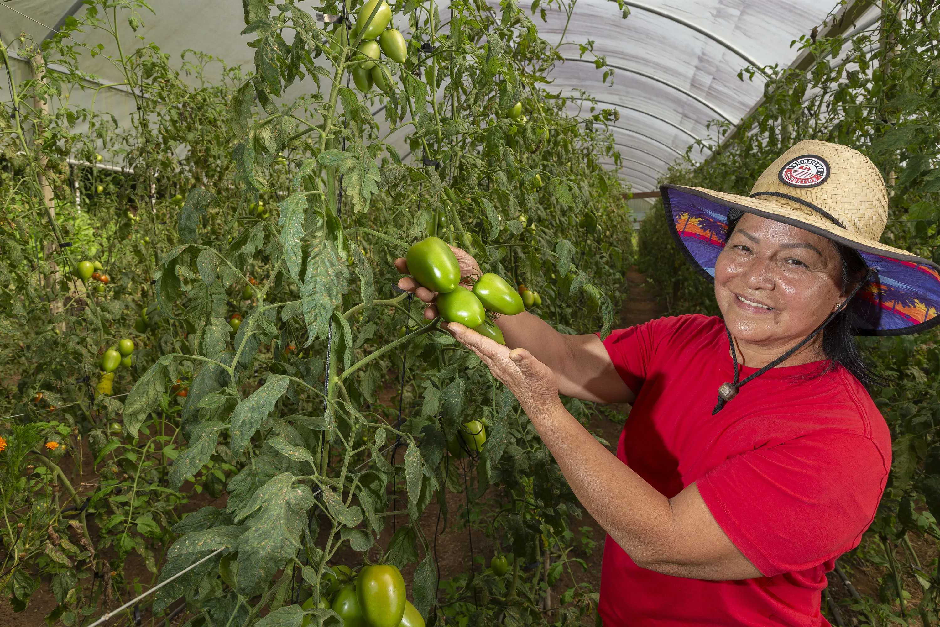 QUATRO BARRAS; 04/03/26; Produtora de orgânicos Edna Vargas recebe equipe do TECPAR para vistoria de documentos; Foto: Hedeson Alves/TECPAR