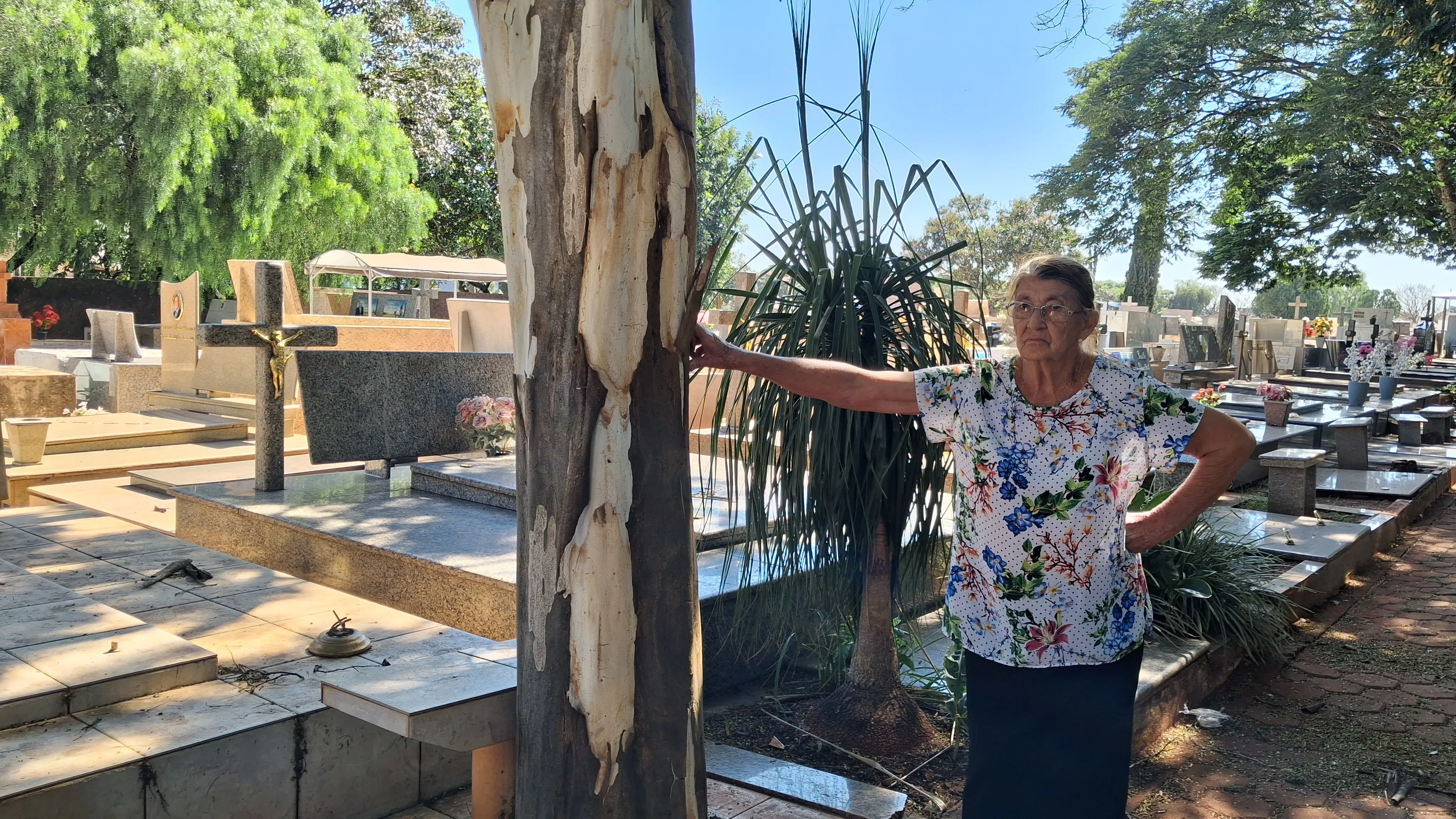 Tereza Gonçalves Campos, de 80 anos, quer saber onde foi parar o corpo do irmão