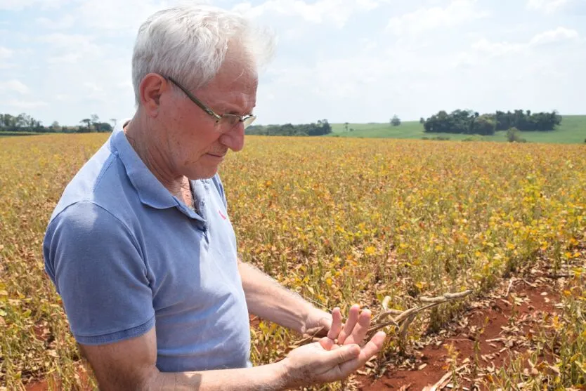 Núcleo Regional de Ivaiporã foi o que mais registrou perdas na região