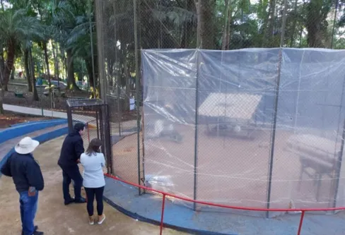 Pampa é ameaçado com rápido desaparecimento da fauna e flora