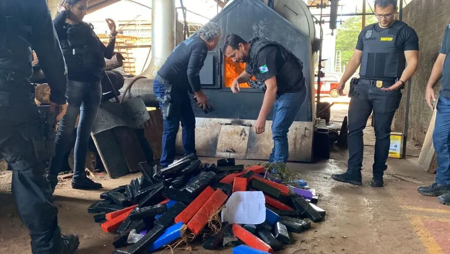 Mais de 300 quilos de drogas foram incinerados