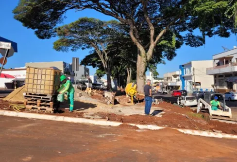 Imagem descritiva da notícia Erradicação de árvores gera polêmica em Ivaiporã