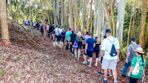 Imagem descritiva da notícia Caminhada da Natureza vai reunir 700 participantes em Apucarana