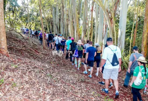 Imagem descritiva da notícia Caminhada da Natureza vai reunir 700 participantes em Apucarana